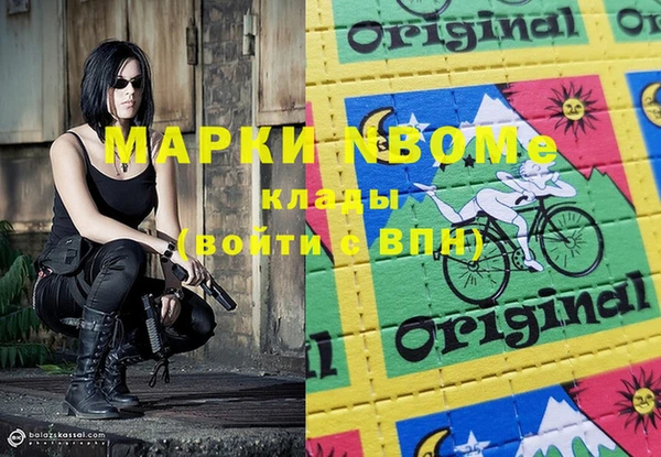 стафф Алексин