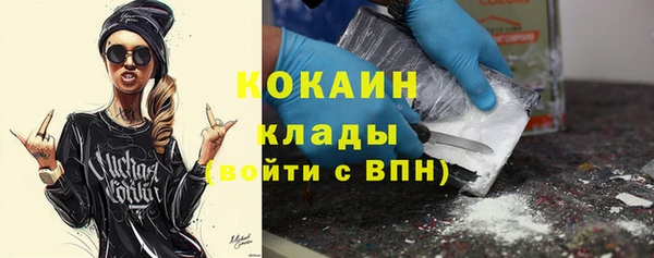 стафф Алексин